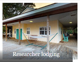 Researcher Lodging